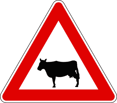 Immagine della domanda