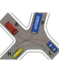 Immagine della domanda