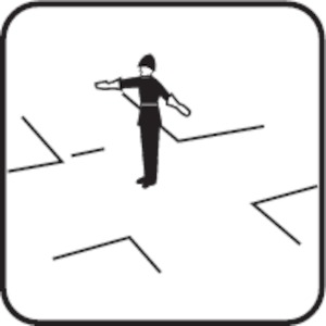 Immagine della domanda